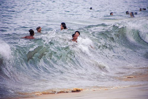 無料 海で泳ぐ人々 写真素材