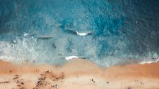 Aerial Photography of People on Beach