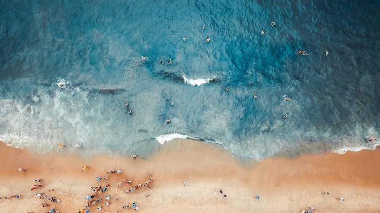 Aerial Photography Of People On Beach