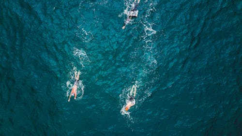 Free Person Swimming on Ocean Stock Photo