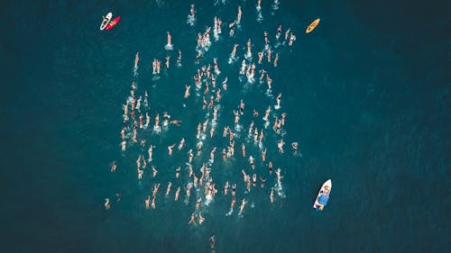Bezpłatne Zdjęcia Lotnicze Ludzi Pływających Na Morzu Zdjęcie z galerii