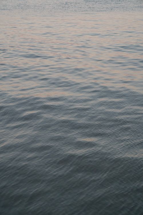 Free Tranquil ocean waters with gentle waves create a serene and peaceful atmosphere. Stock Photo