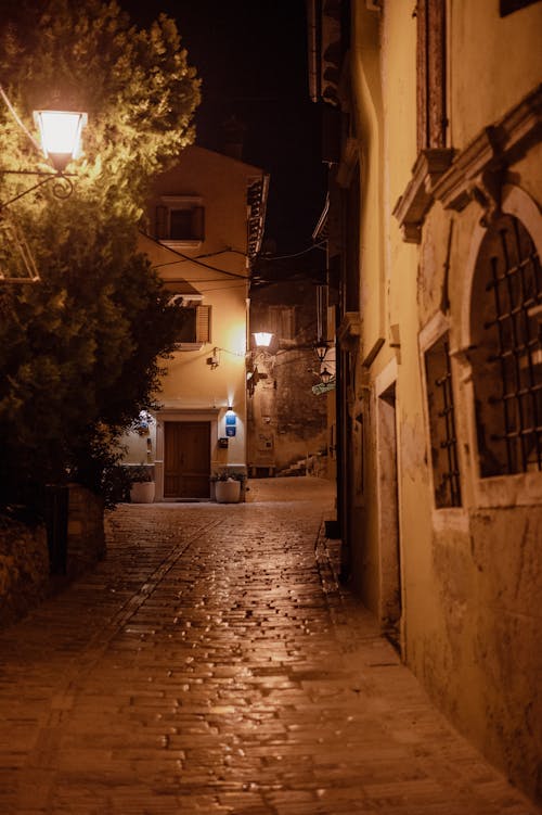 A Street in a Town at Night
