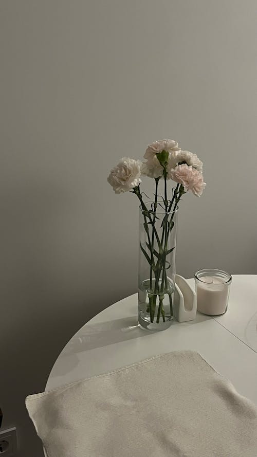 Gratis stockfoto met bloemen, fabrieken, grijze achtergrond