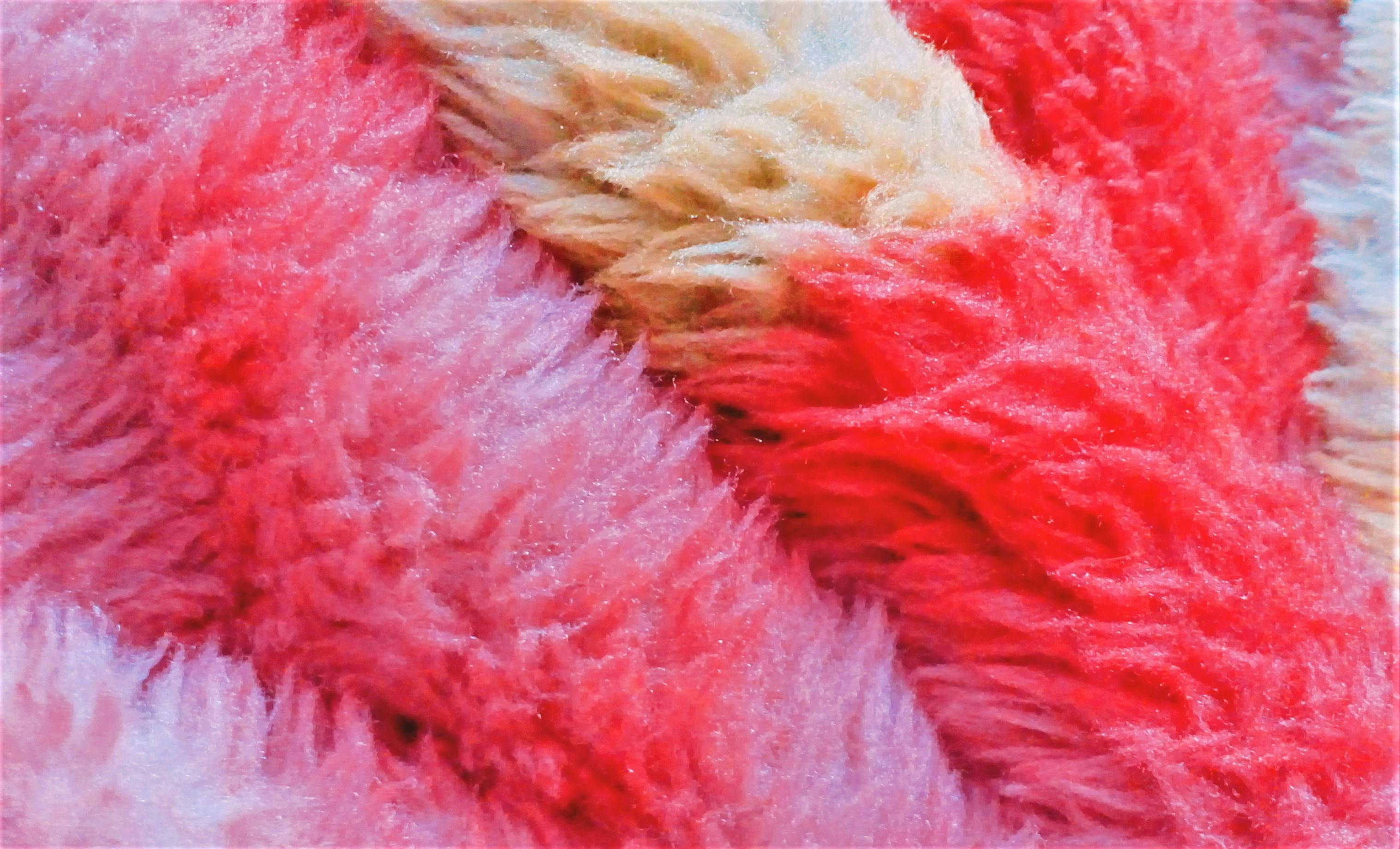 Free stock photo of fur, pink