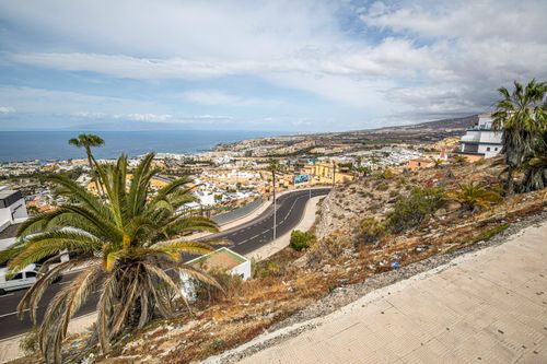Free Elevated view of a coastal town with palm trees, road, and distant sea under a cloudy sky. Stock Photo