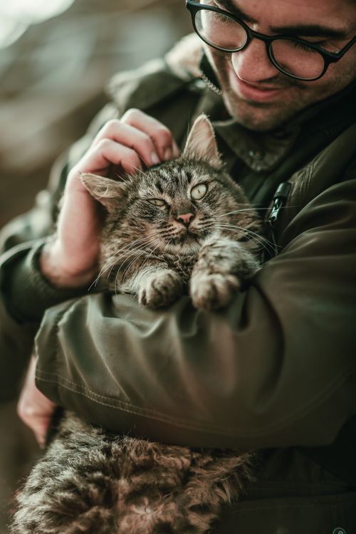 Free Close-up of a man holding and petting a relaxed tabby cat outdoors. Stock Photo