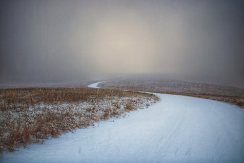 คลังภาพถ่ายฟรี ของ ช่วง, ทุ่งหญ้าแพรรี, พายุหิมะ