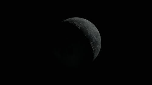 Dark Surface of the Moon 