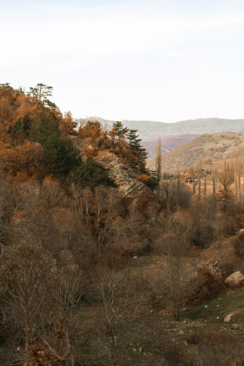 Free Serene autumn mountain landscape with colorful trees against a distant horizon. Stock Photo