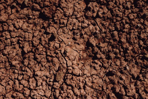 Close-up of Dry Soil 