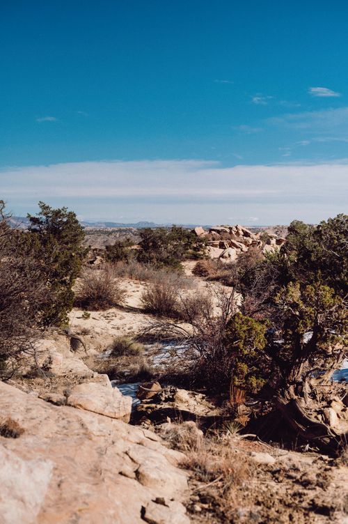 Free A dry and rocky landscape featuring sparse bushes under a clear blue sky. Stock Photo