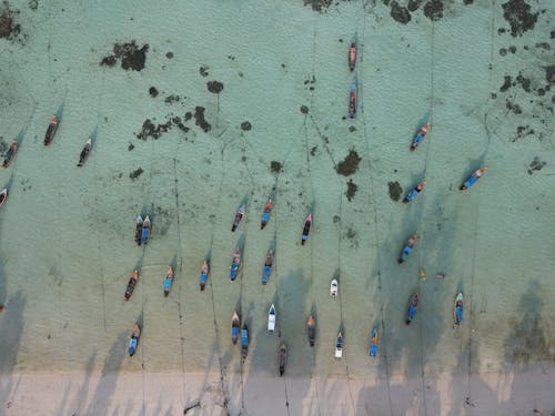 Imagine de stoc gratuită din bărci, coastă, fotografie cu drona