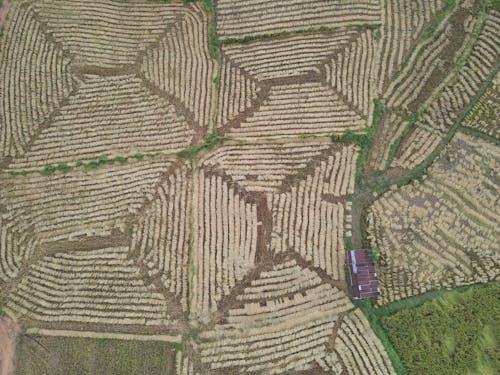 Imagine de stoc gratuită din agricultură, câmpuri, fotografie cu drona