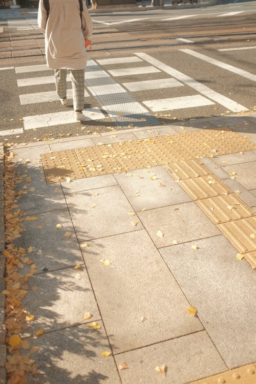 Pavement by Pedestrian Crossing in City