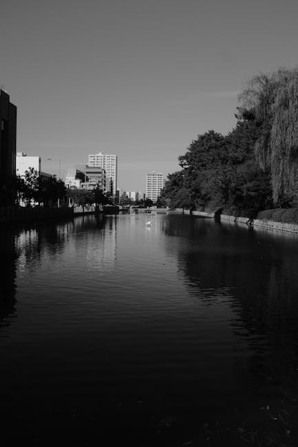 The Modern Rhythms of the City The Modern Rhythms of the City