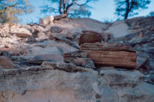 Gratis stockfoto met aarde, canyon, geologie