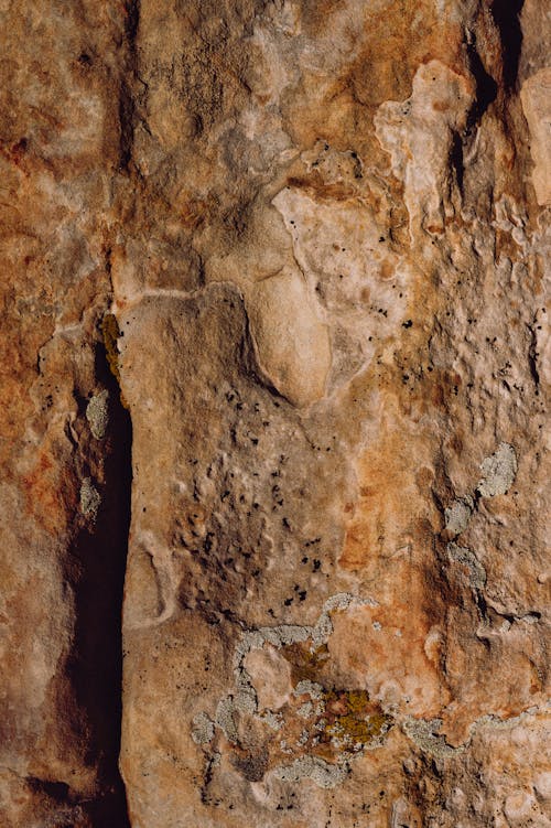 Rocky Wall in a Cave 