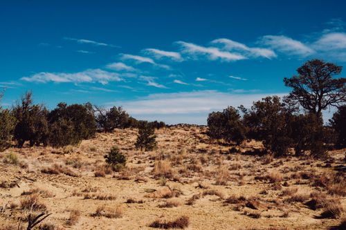 Free Expansive desert landscape with sparse vegetation under a clear blue sky, capturing the arid beauty. Stock Photo
