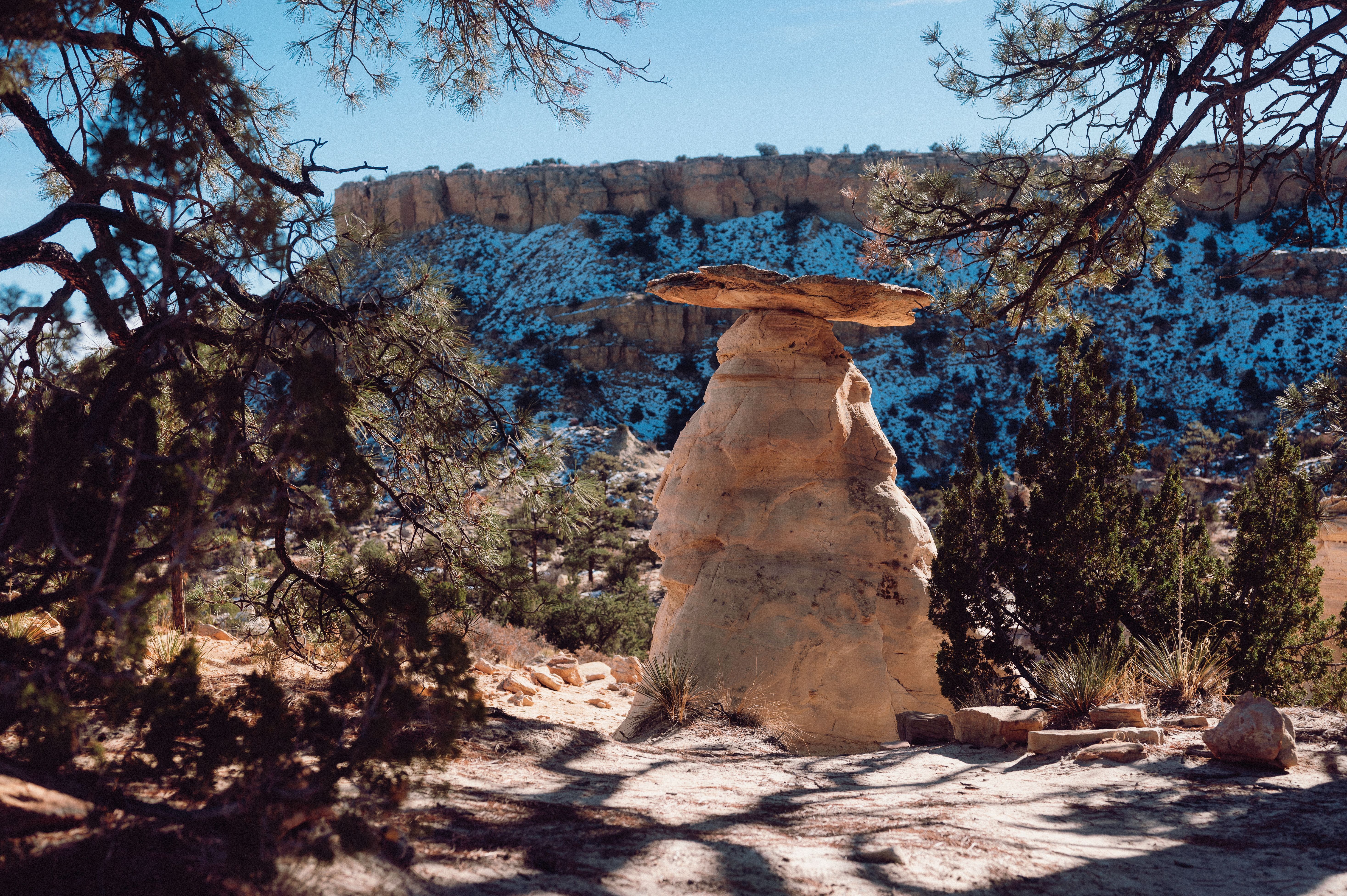 How to Enter Birthday Freebies in Albuquerque, New Mexico Without Scams