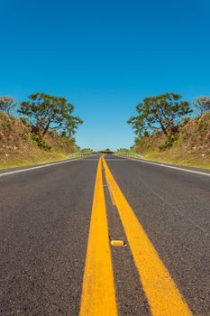 一条宁静的乡村道路，被大自然包围，在晴朗的蓝天下延伸