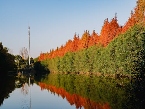 Gratis lagerfoto af atmosfera de outono