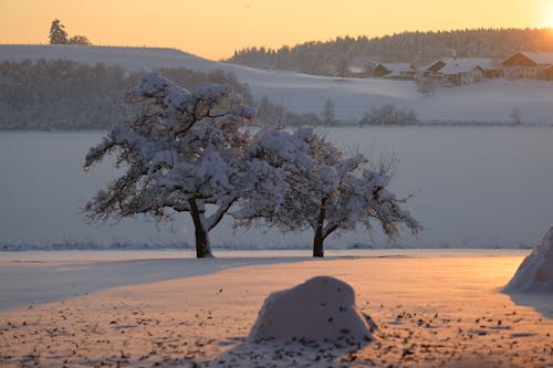 A Winter Countryside Landscape at Sunset 