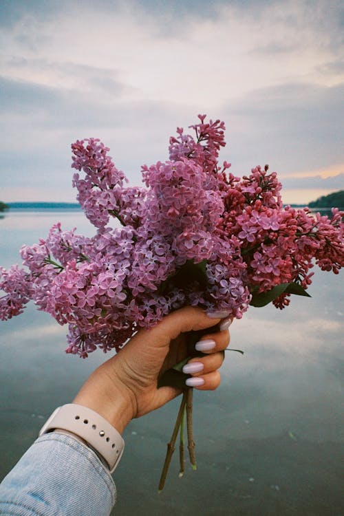 Woman Holding a Bunch of Lilac Flowers