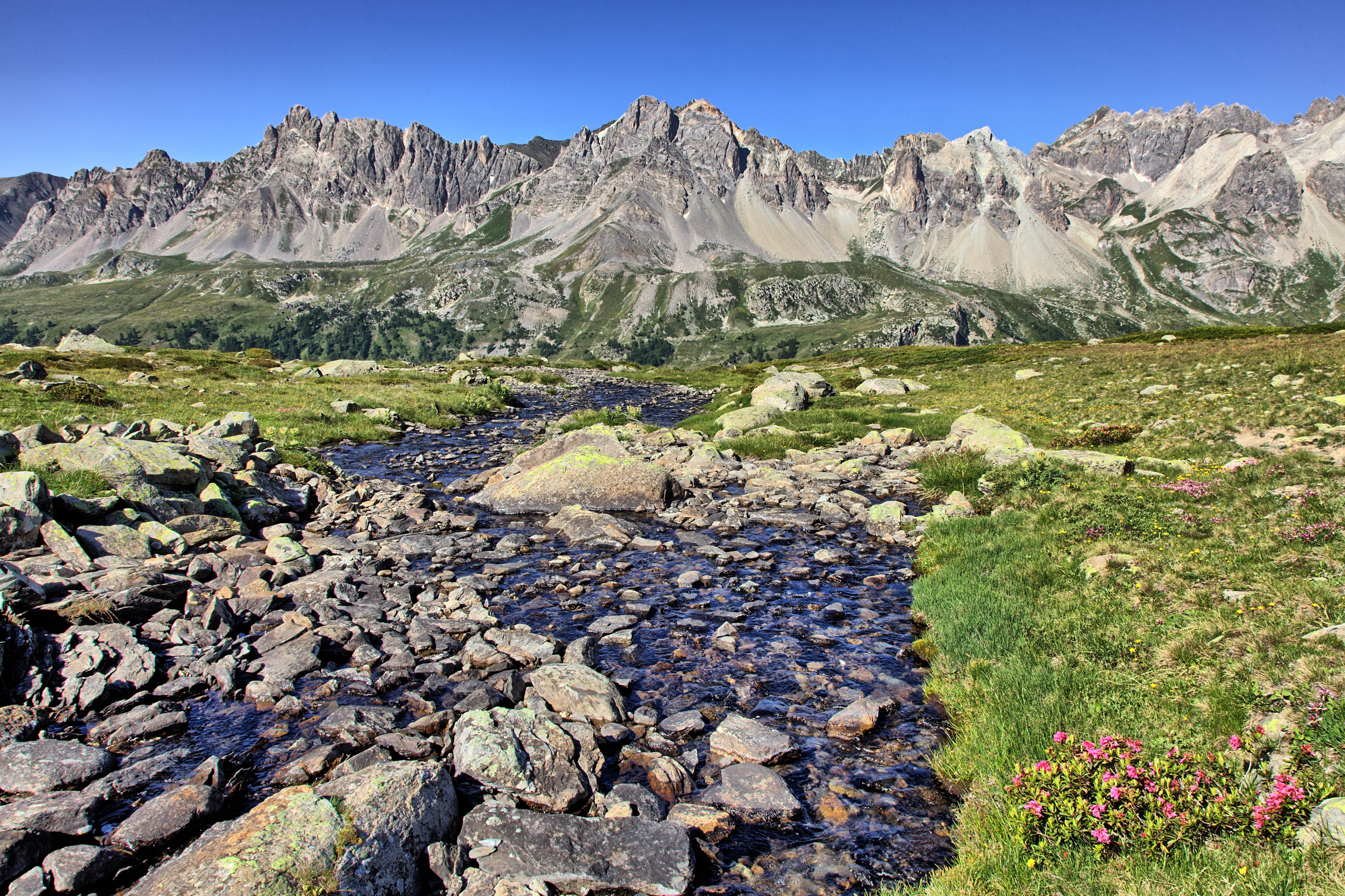 Stream in Mountains · Free Stock Photo