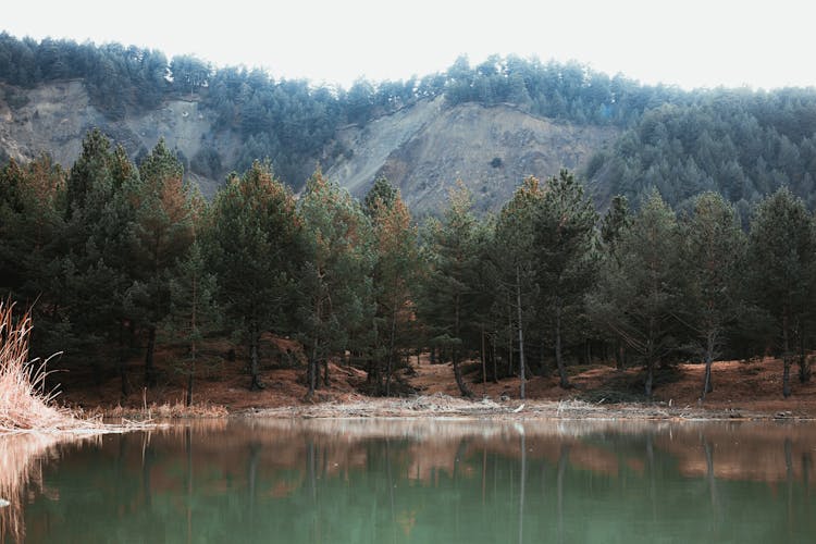 Lake And Forest And Hill Behind