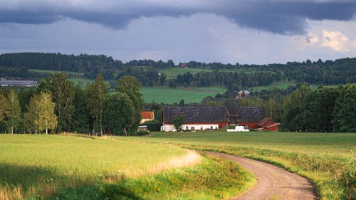 Foto d'estoc gratuïta de agricultura, arbres, carretera