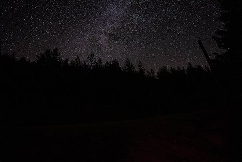 Kahramanmaraş Fırnız Kampı Gece Gökyüzü