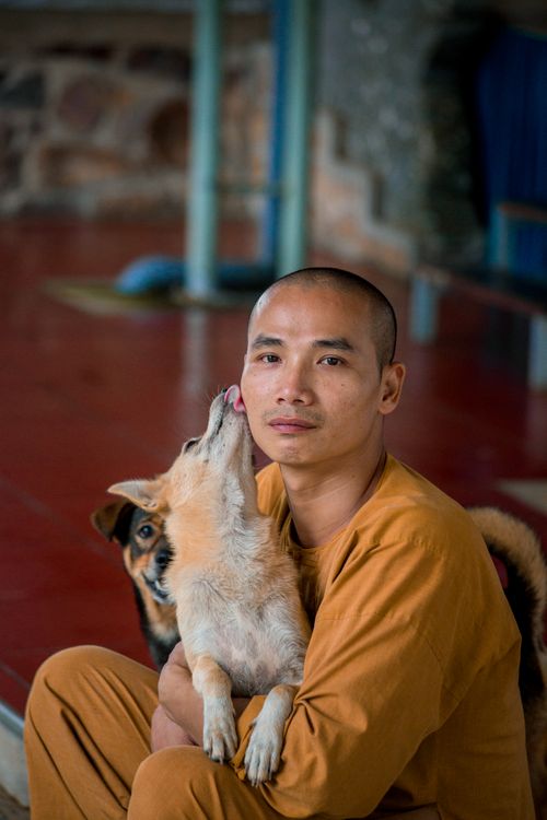 Free Asian man embracing dogs indoors, showcasing affection and companionship. Stock Photo