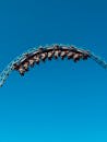 Photo of People Upside Down on a Rollercoaster