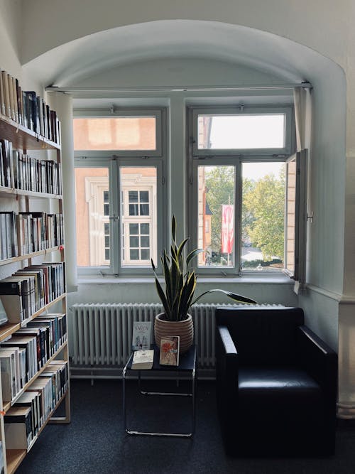 Interior of a Library with an Armchair by the Window 