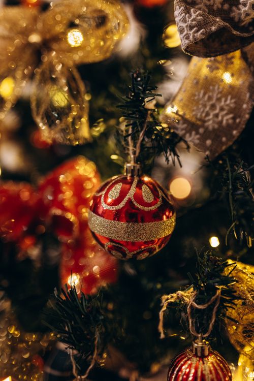 Free Close-up of a red Christmas ball hanging on a decorated tree with lights and bows. Stock Photo