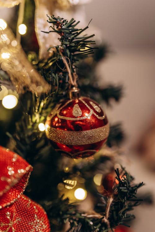 Foto d'estoc gratuïta de adorns, arbre de Nadal, bola de nadal