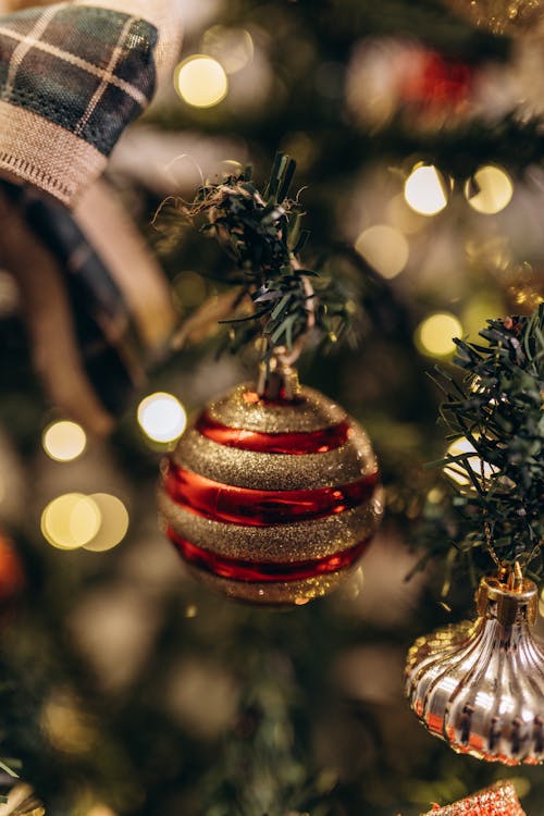 Red and Golden Bauble on Christmas Tree