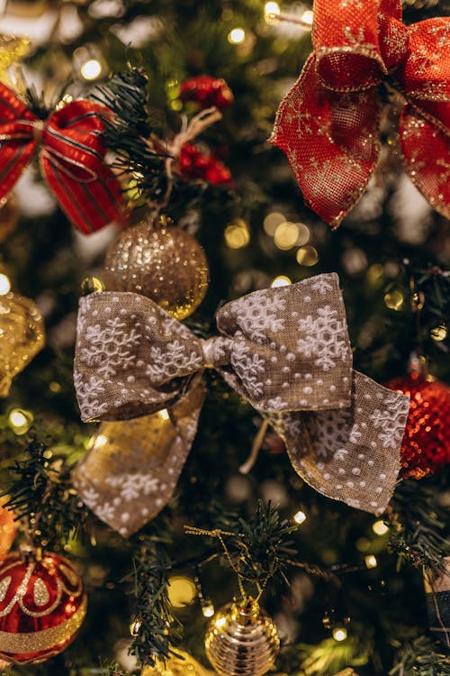 Close-up of Christmas Ornaments on the Tree