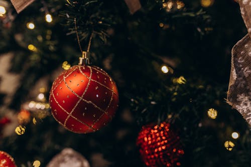 A Row of Christmas Stockings Hanging on Wooden Wall · Free Stock Photo