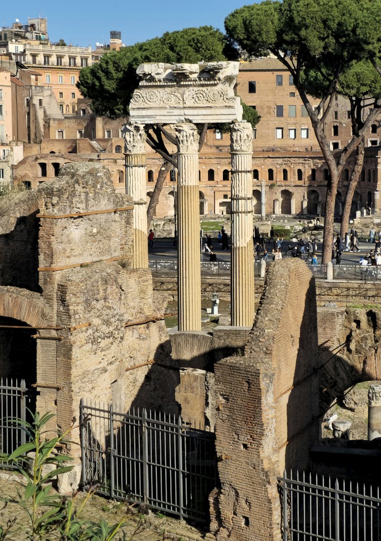 Ruins Of Temple Of Venus Genetrix In Rome