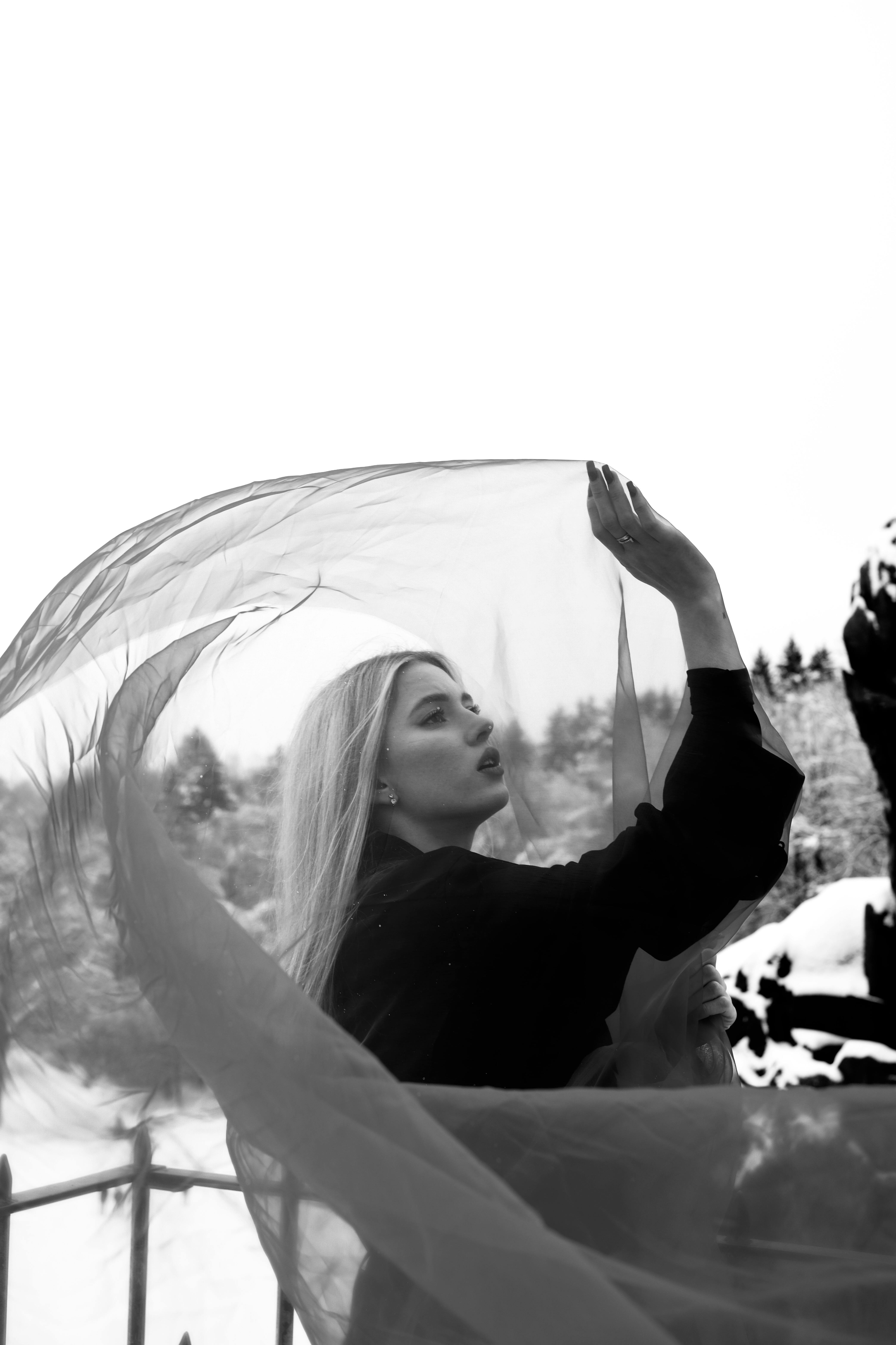 Gratis Foto stok gratis abadi, anggun, artistik Foto Stok