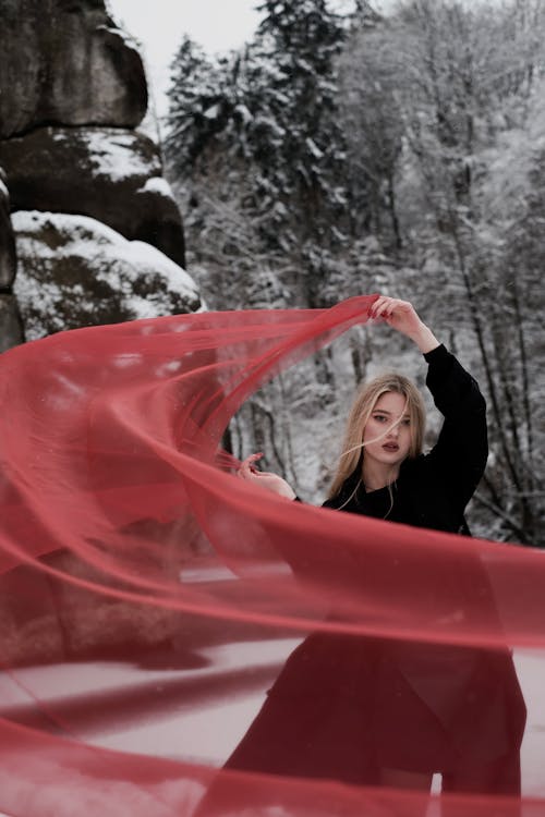 Základová fotografie zdarma na téma blond, červený závoj, držení