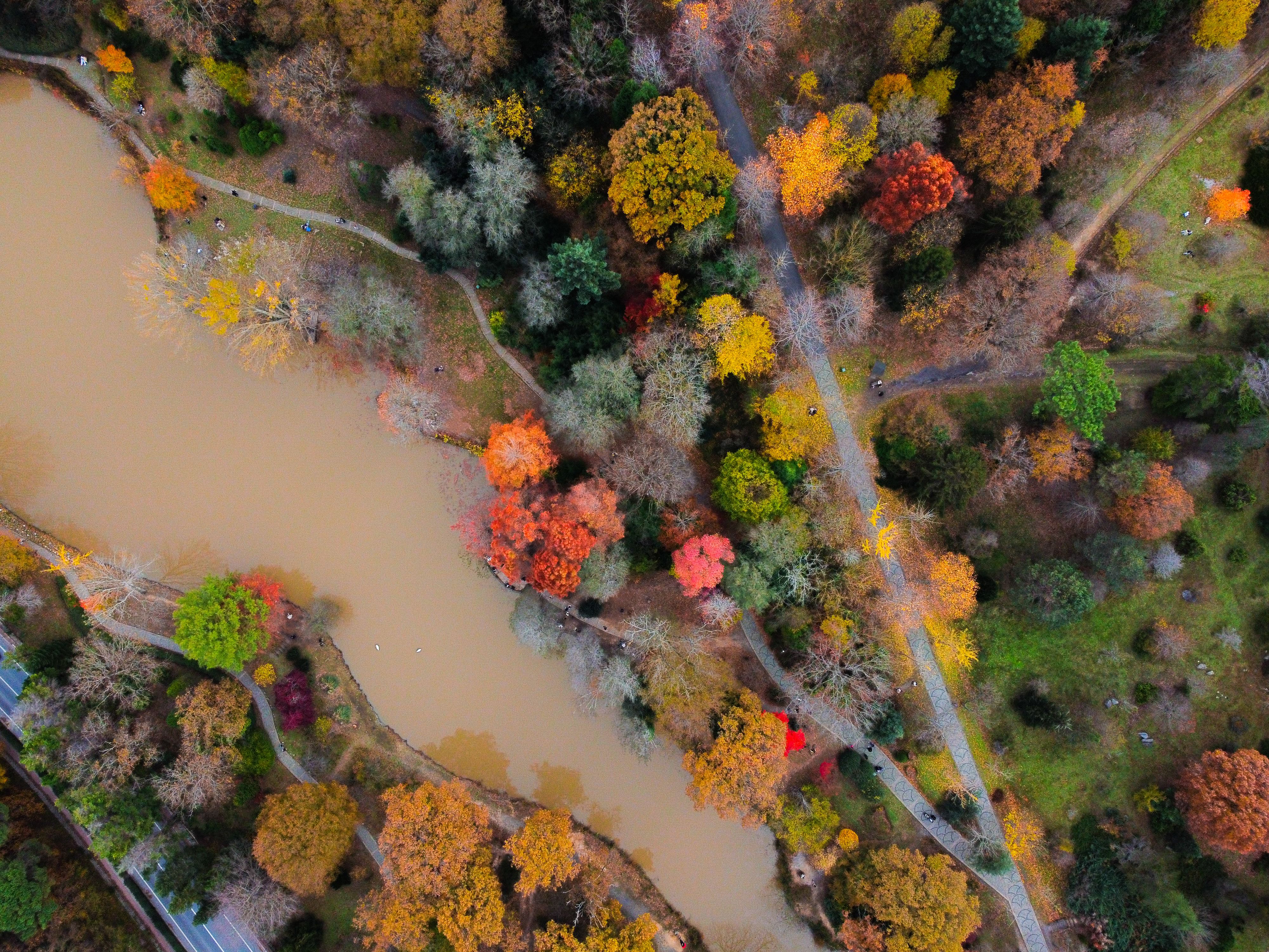 Colorful Forest and River in Autumn · Free Stock Photo