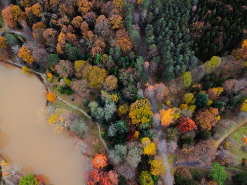 Ilmainen kuvapankkikuva tunnisteilla droonikuva, järvi, lintuperspektiivi