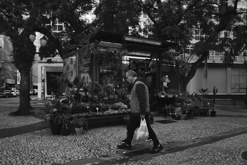 Darmowe zdjęcie z galerii z bruk, chodzenie, czarno-biały