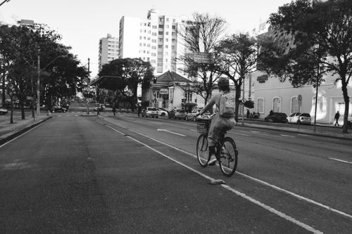 Free Cyclist riding through an empty urban street, with buildings and trees lining the road. Stock Photo