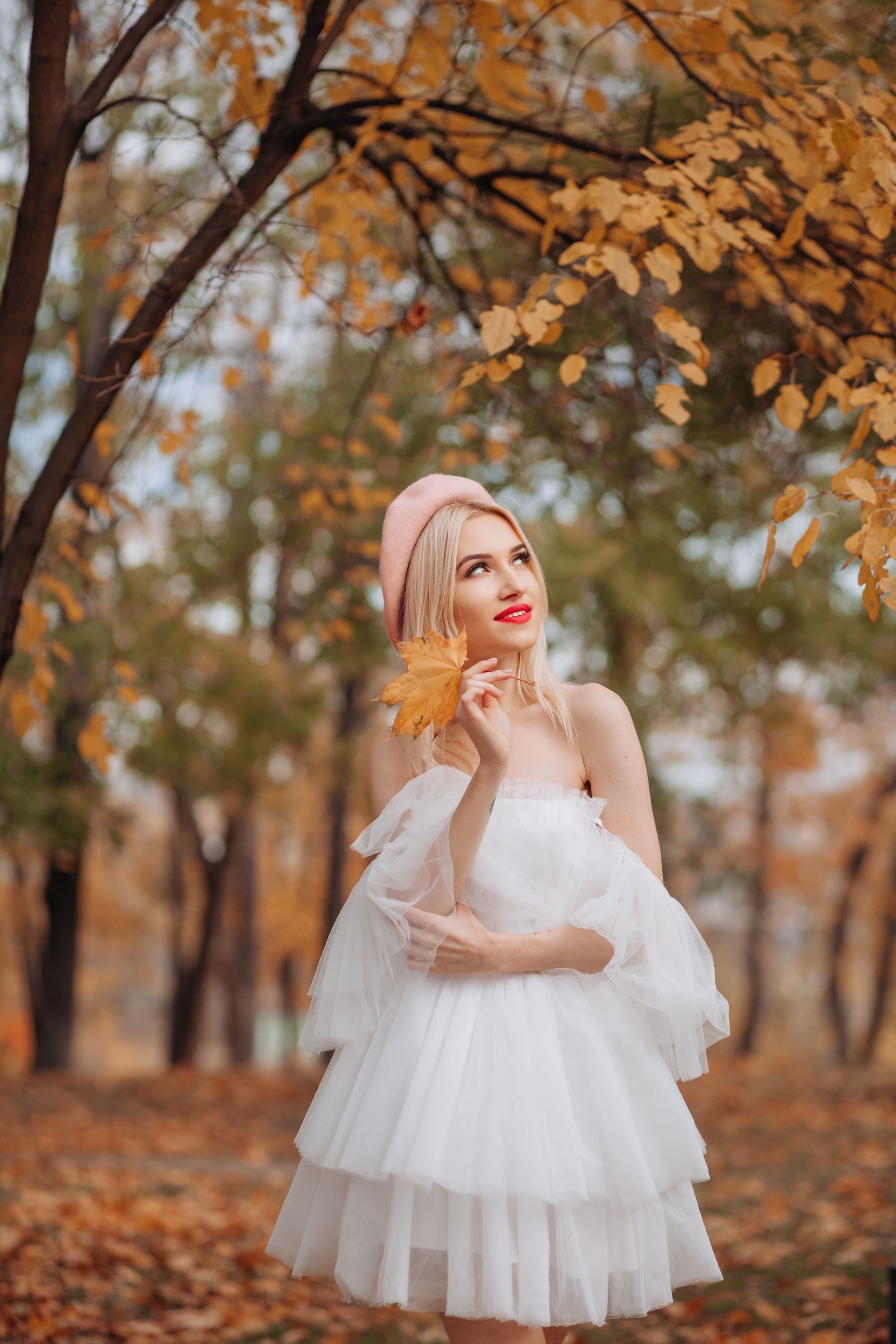 Young Woman in a White Tulle Dress Posing in a Park in Autumn  Free Stock  Photo