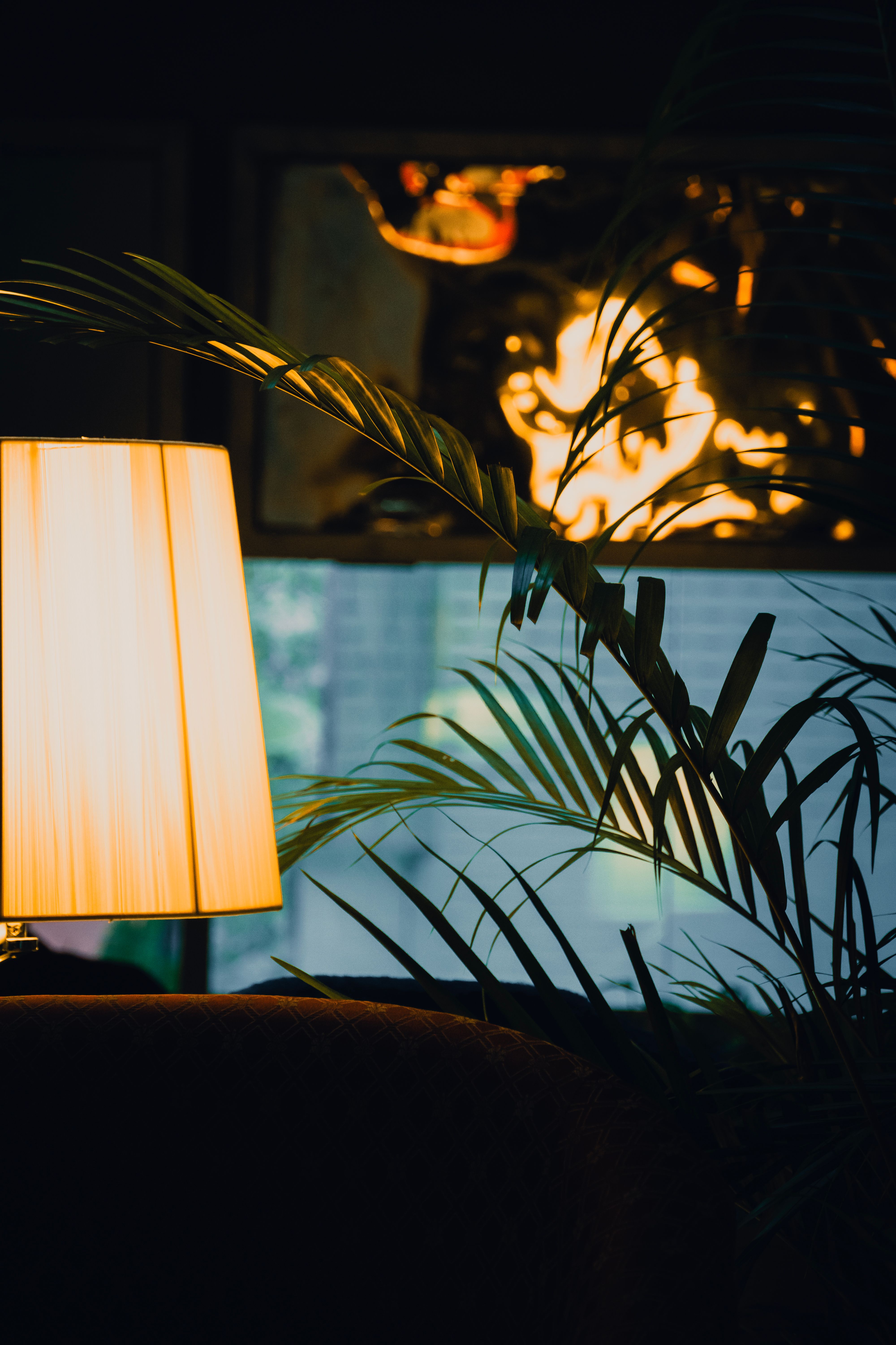 A relaxed reader’s guide to lighting cool morning