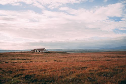 Lonely House on a Field